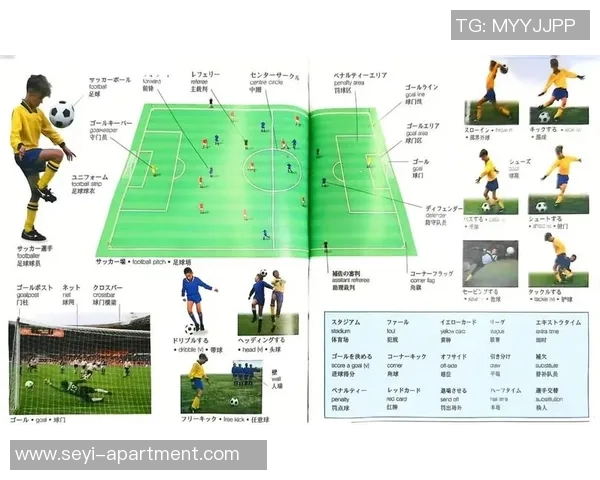 足球K席的魅力与挑战：探讨足球场上的战术与团队合作精神